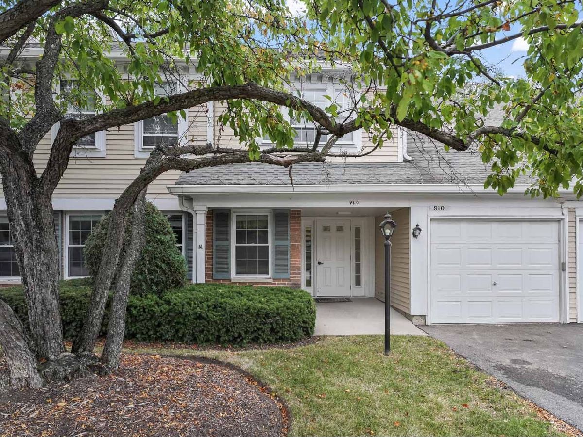  Sold Mount Prospect Illinois, 910 Persimmon