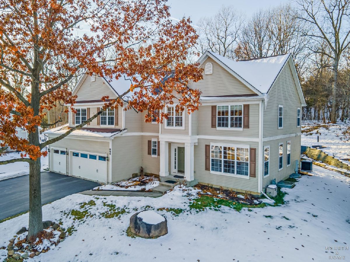 Homes For Sale Duck Lake Crossing Fox Lake Illinois, 994 Reserve Court