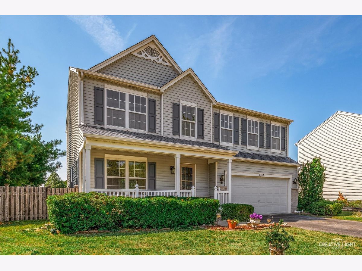 Homes For Sale Caton Ridge Plainfield Illinois, 1603 Valley Ridge Drive