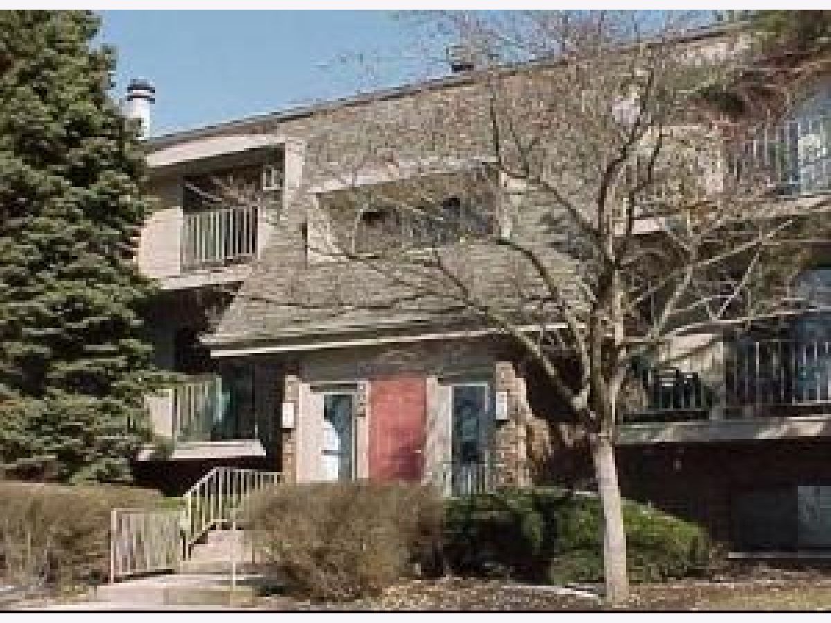 Condominiums For Rent Olive Trees Naperville Illinois, 124 Bailey