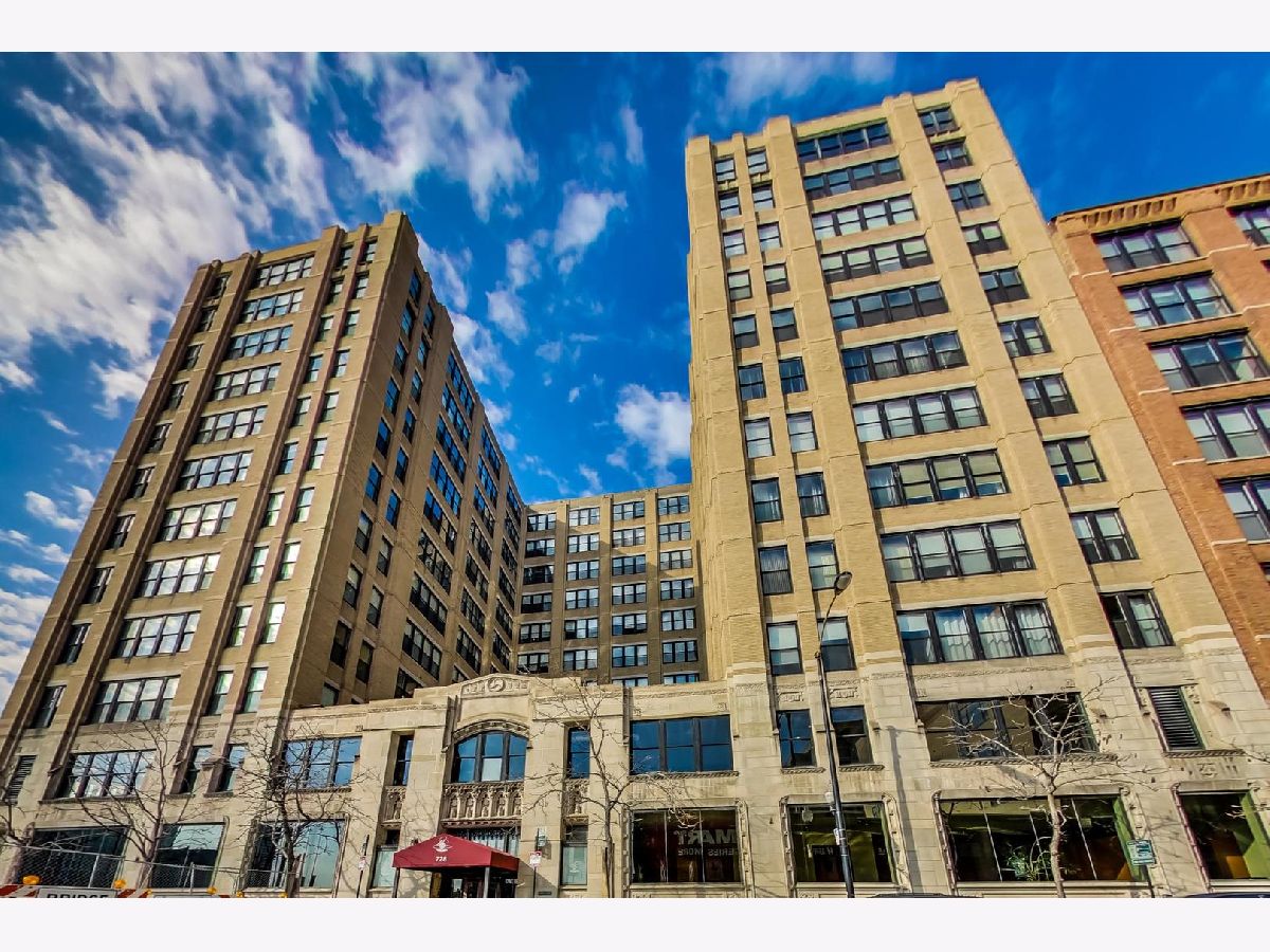 Condominiums For Sale Haberdasher Square Lofts Chicago Illinois, 728 Jackson Boulevard