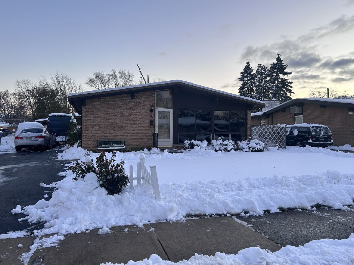  For Rent Addison Illinois, 233 Natoma