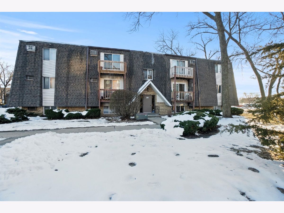 Condominiums For Sale Madison Park Joliet Illinois, 218 Madison Street