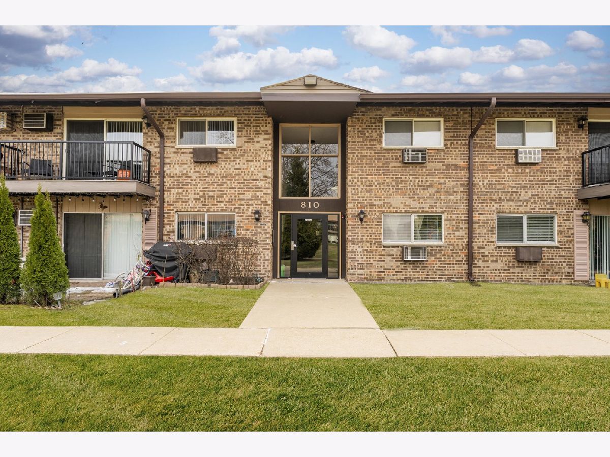 Condominiums For Sale Willow Heights Prospect Heights Illinois, 810 Old Willow Road