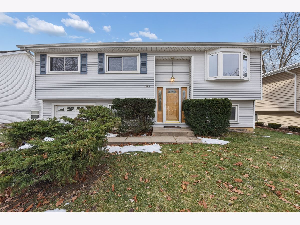  Sold Lombard Illinois, 325 Prairie