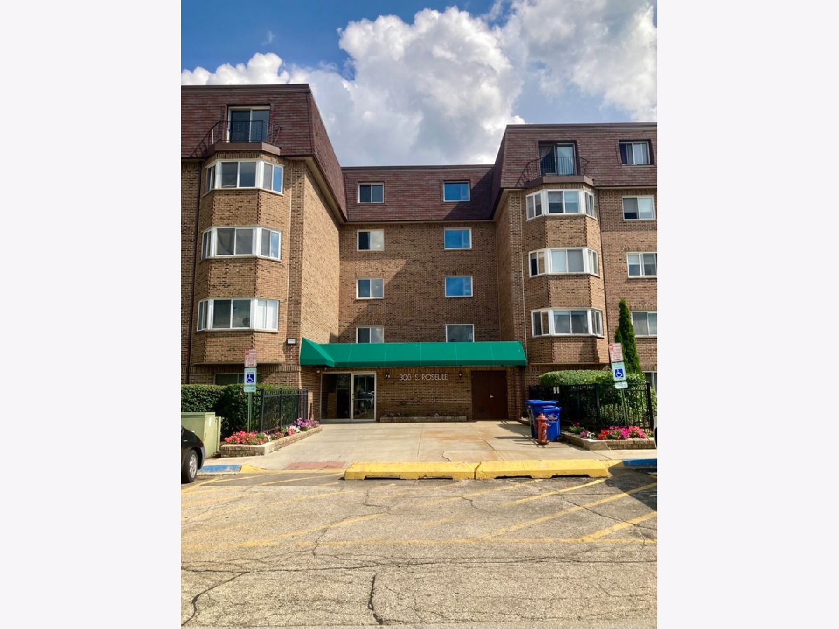  For Rent Schaumburg Illinois, 300 Roselle