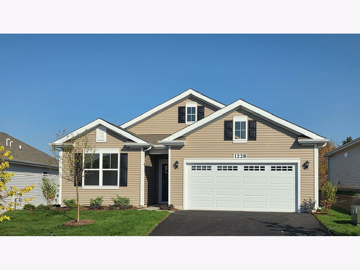 Condos & Townhomes & Homes For Sale The Grasslands Bartlett Illinois, 1228 Wild Tulip Circle