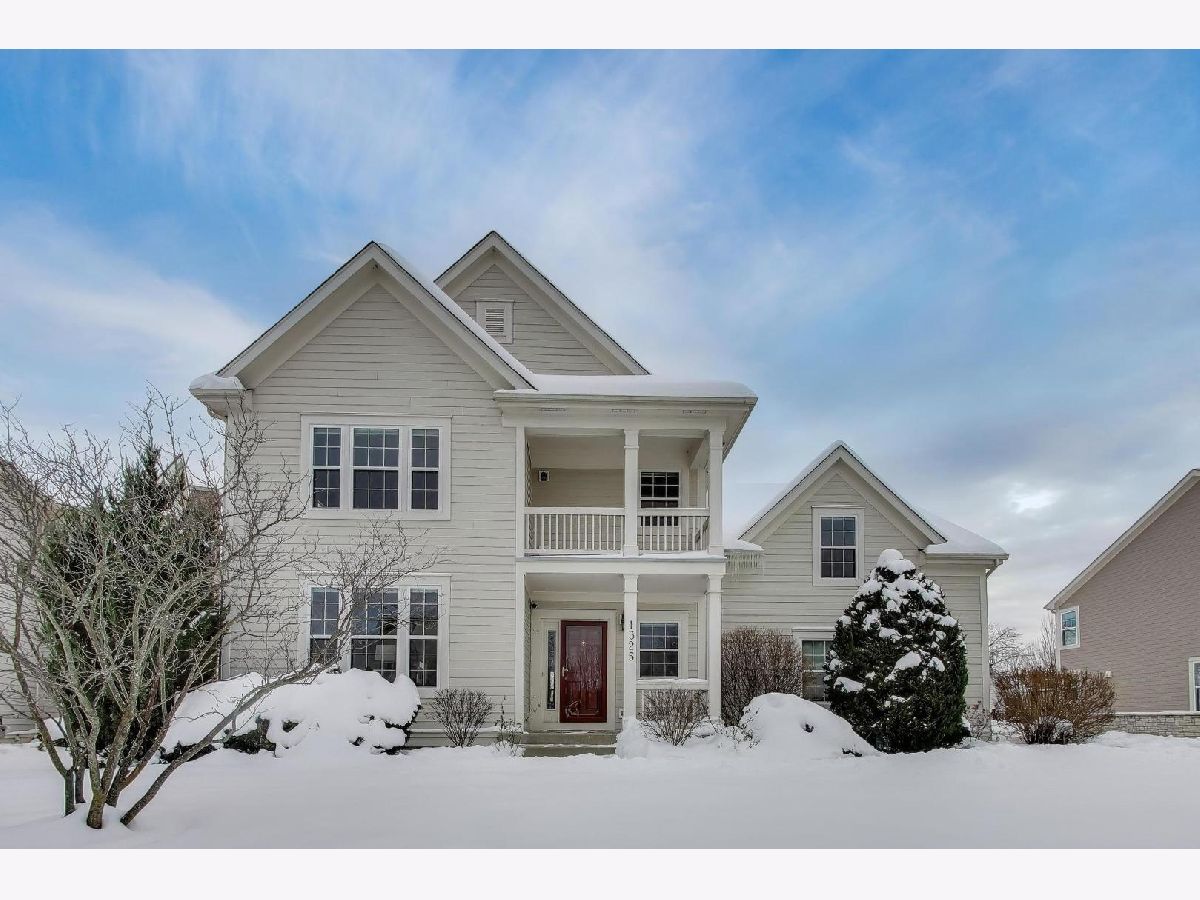 Condos & Townhomes & Homes For Sale Lion's Gate Schaumburg Illinois, 1325 Grantham Drive