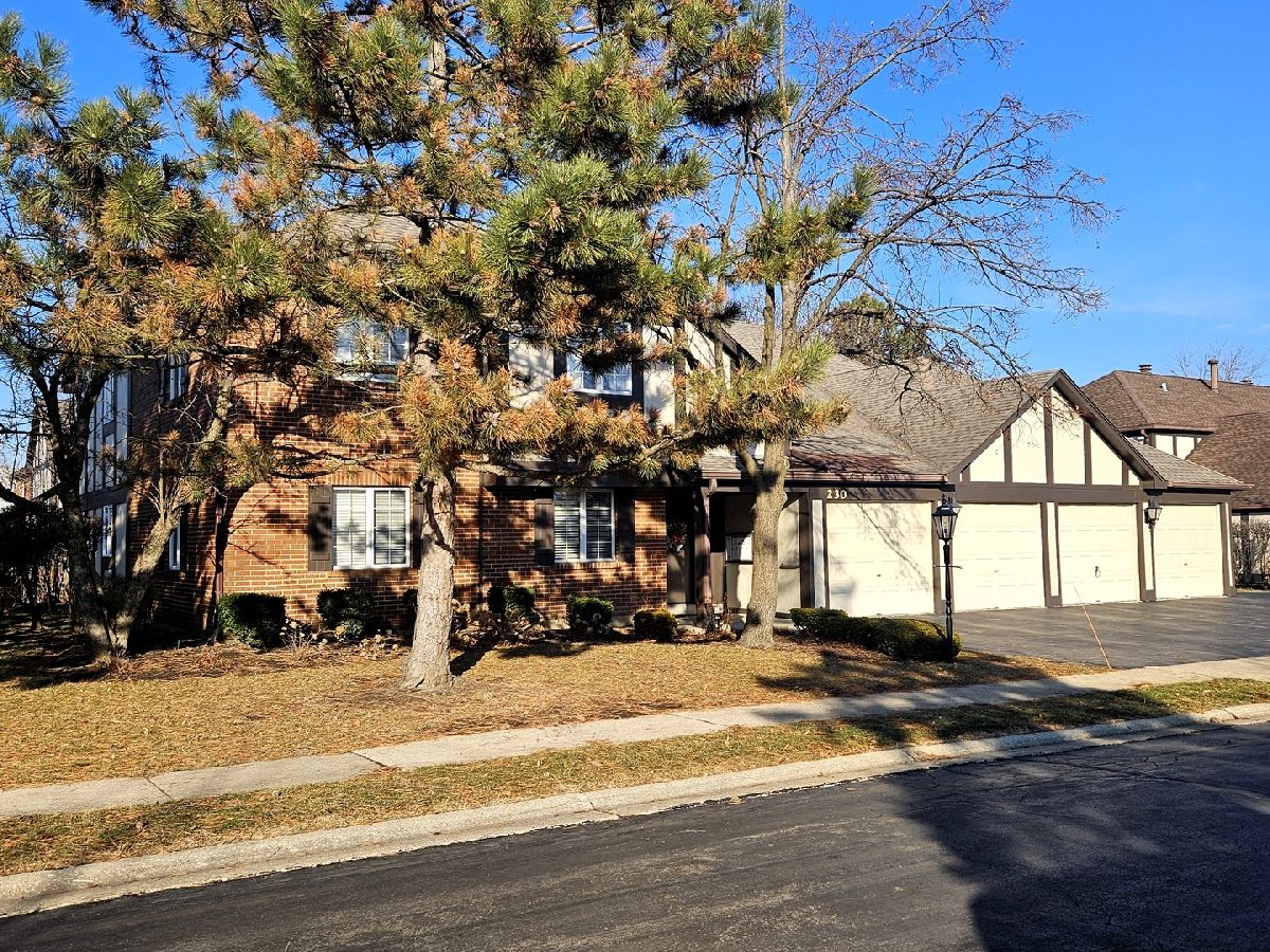  For Sale Willowbrook Illinois, 230 Windsor Lane