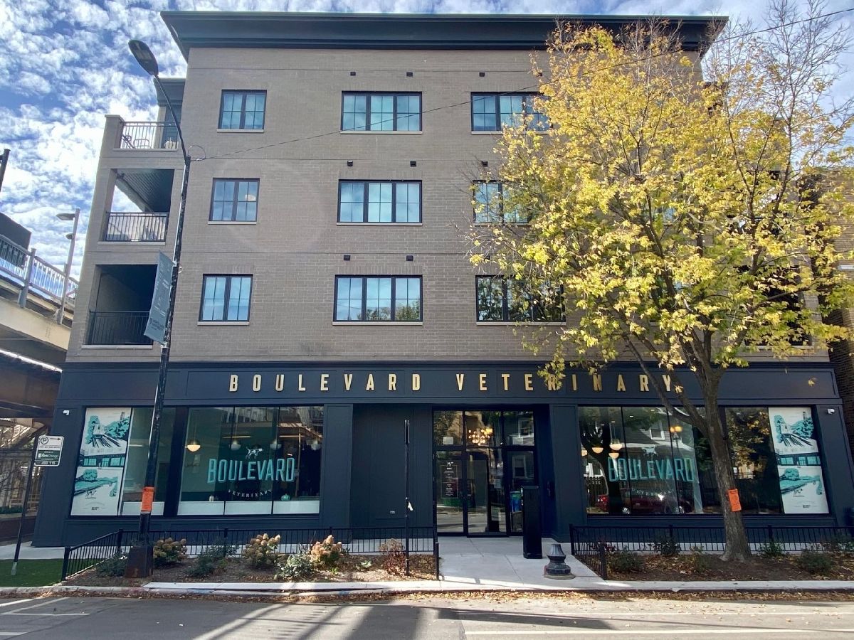  Rented Chicago Illinois, 4646 Damen