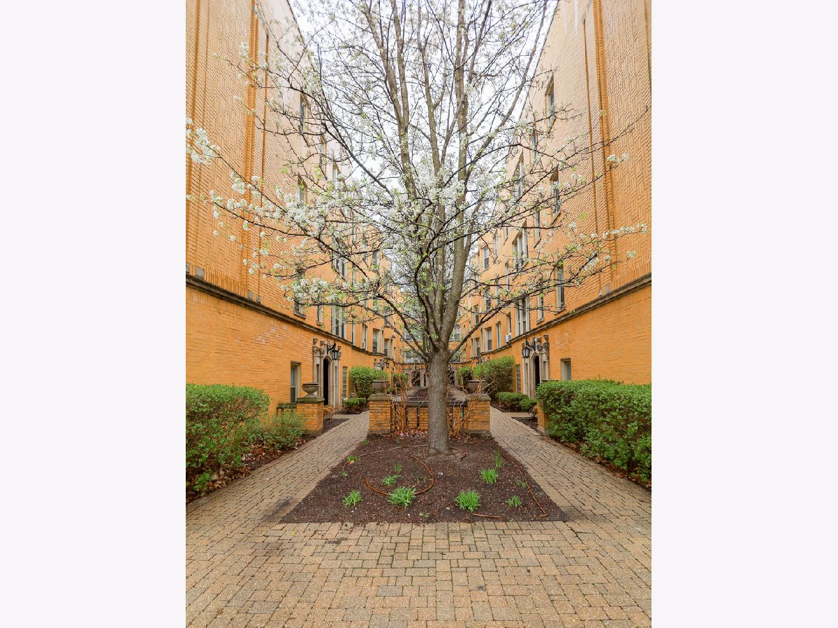  Rented Chicago Illinois