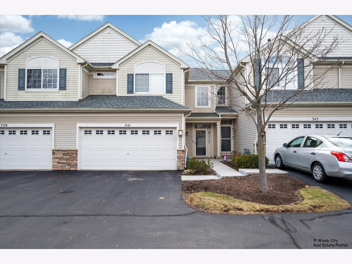  For Sale Gilberts Illinois, 341 John M Boor Drive