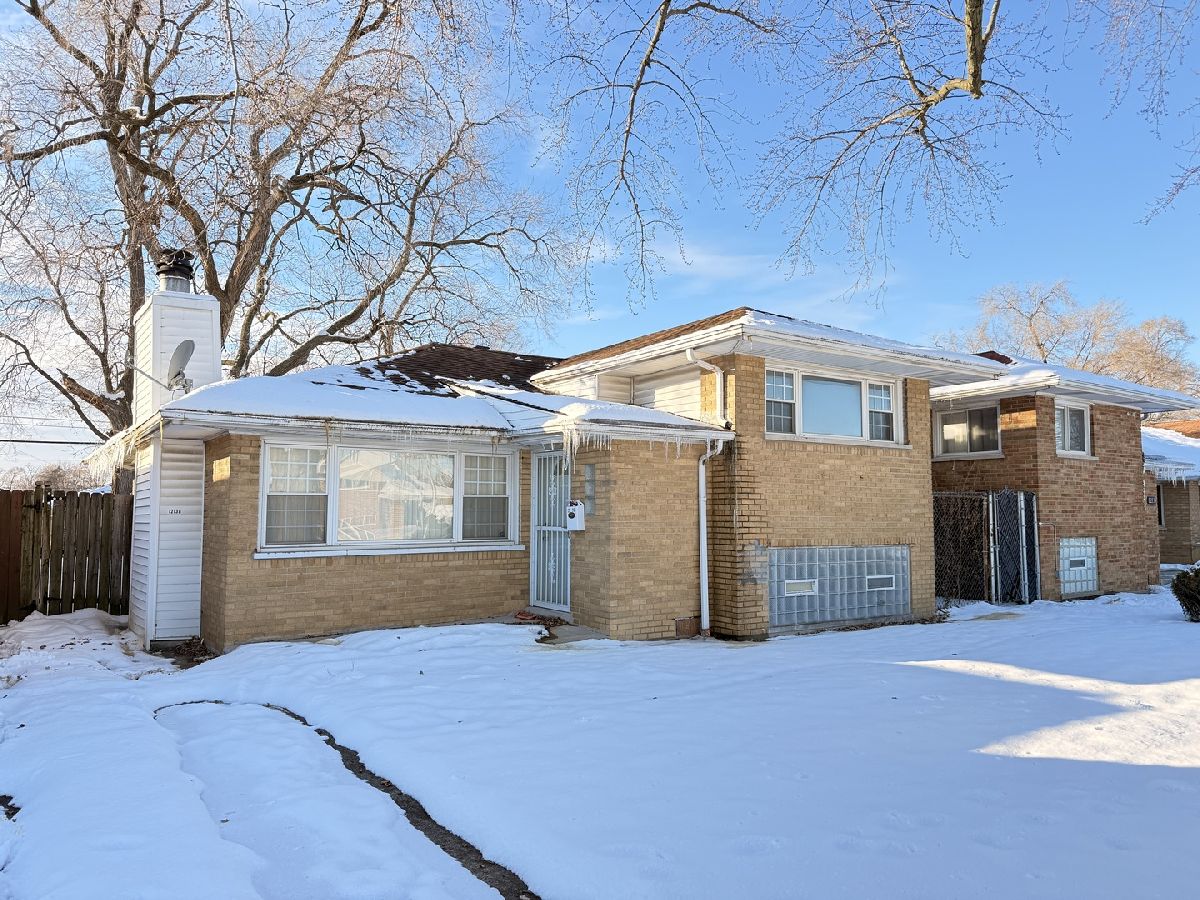  For Sale Chicago Illinois, 12138 Elizabeth Street