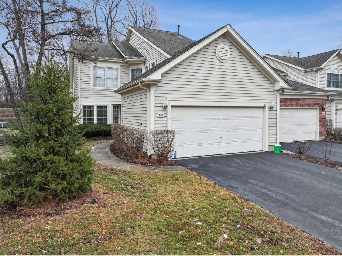  Rented Schaumburg Illinois, 310 Spring Creek