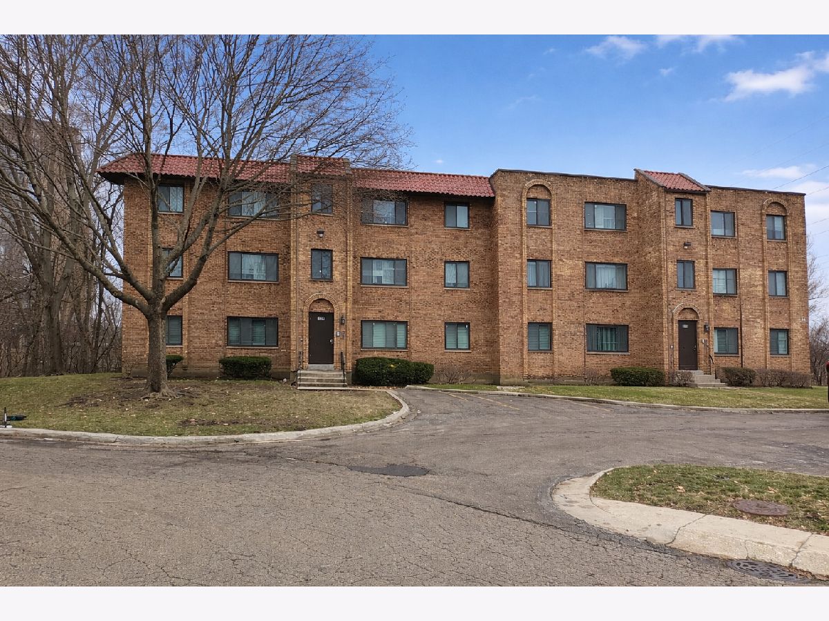  Rented Palatine Illinois, 224 Rimini