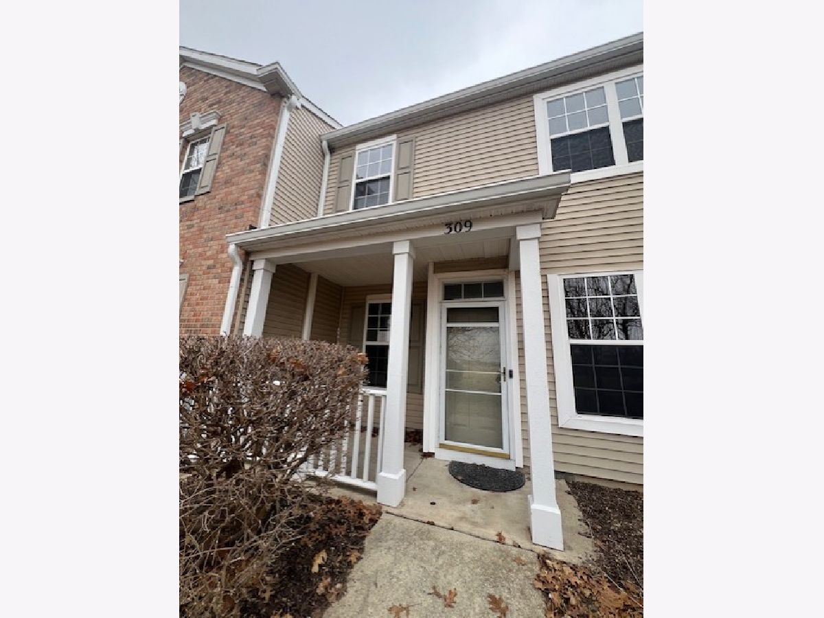 Townhomes For Sale Springbrook Trails Oswego Illinois, 309 Springbrook Trail S