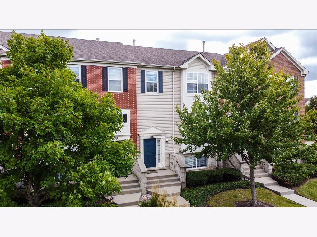 Townhomes & Homes For Sale Gilberts Town Center Gilberts Illinois, 233 Jackson Street