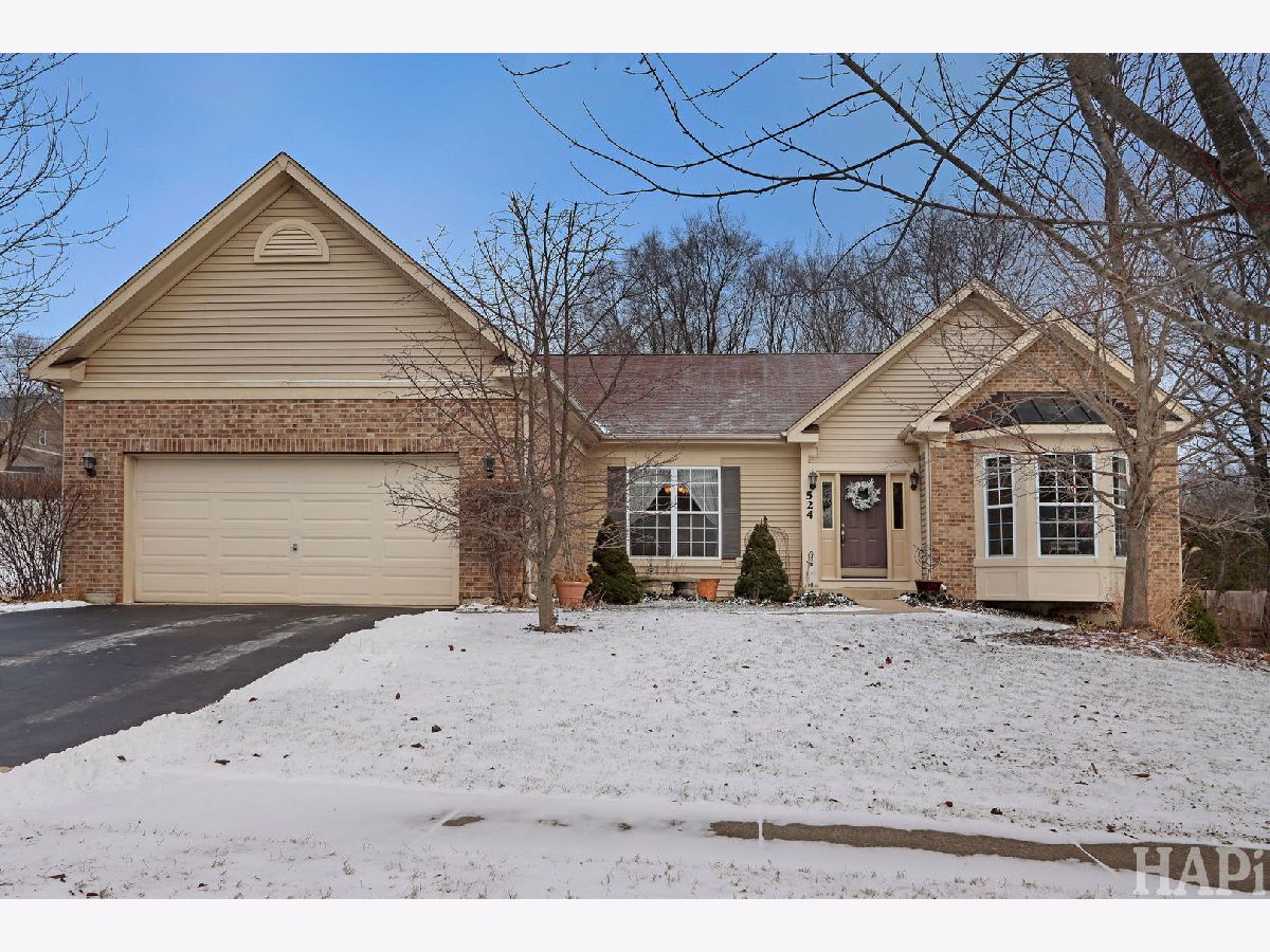  For Sale Fox Lake Illinois, 524 Park View Circle