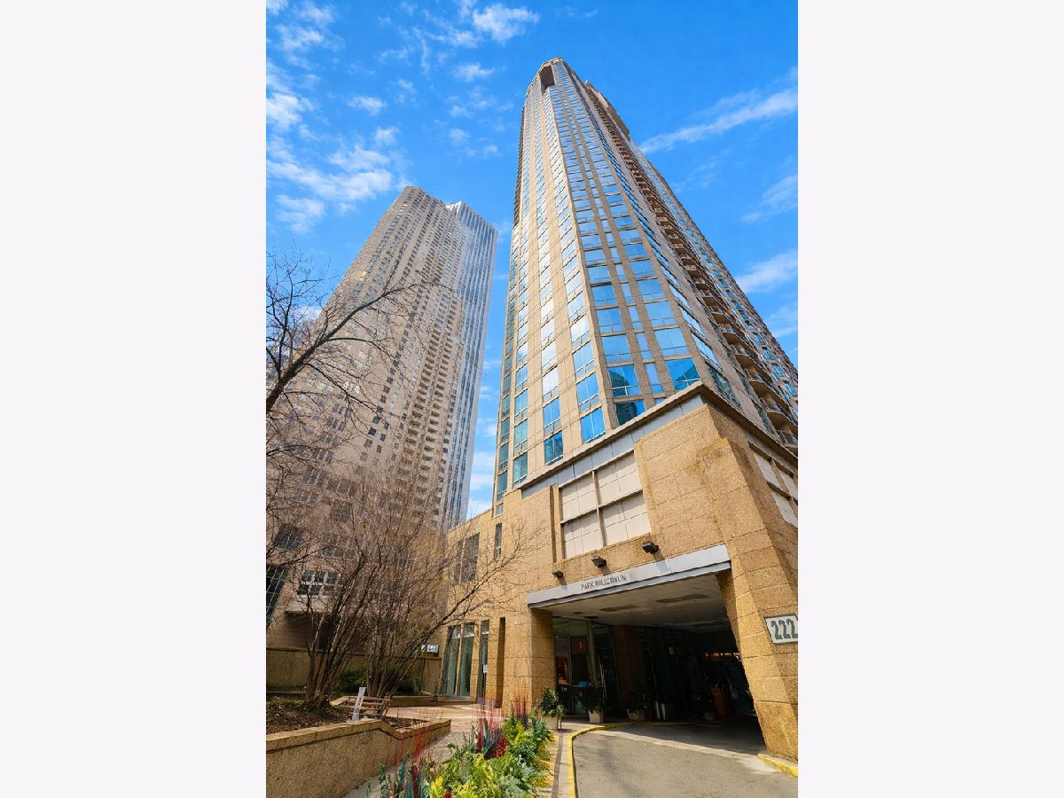 Condominiums For Sale Park Millennium Condos Chicago Illinois, 222 Columbus Drive