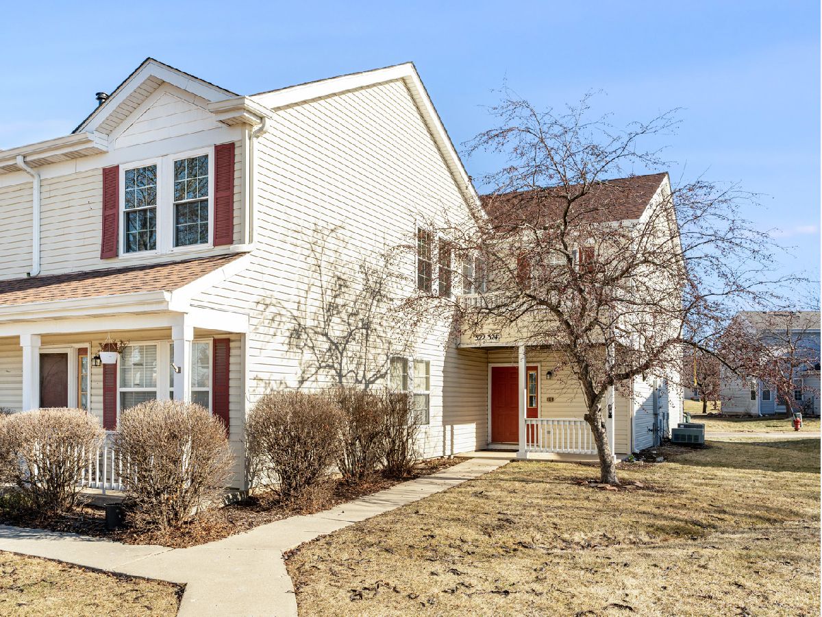 Townhomes & Condos & Homes For Sale Ogden Falls Oswego Illinois, 322 Ogden Falls Boulevard