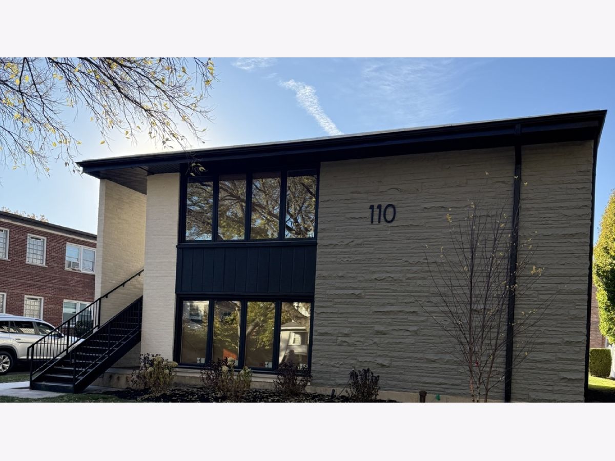  Rented Elmhurst Illinois, 110 Willow