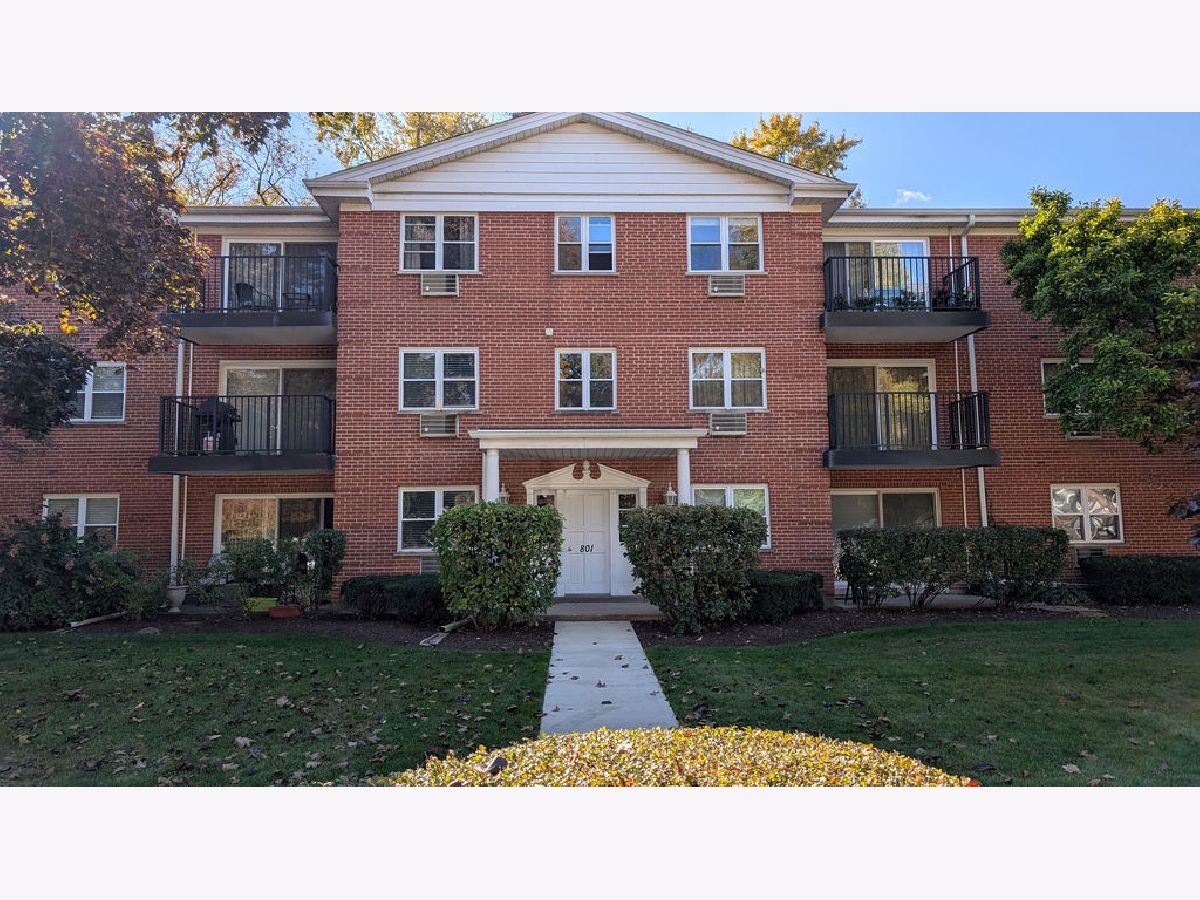  For Rent Arlington Heights Illinois, 801 Miner
