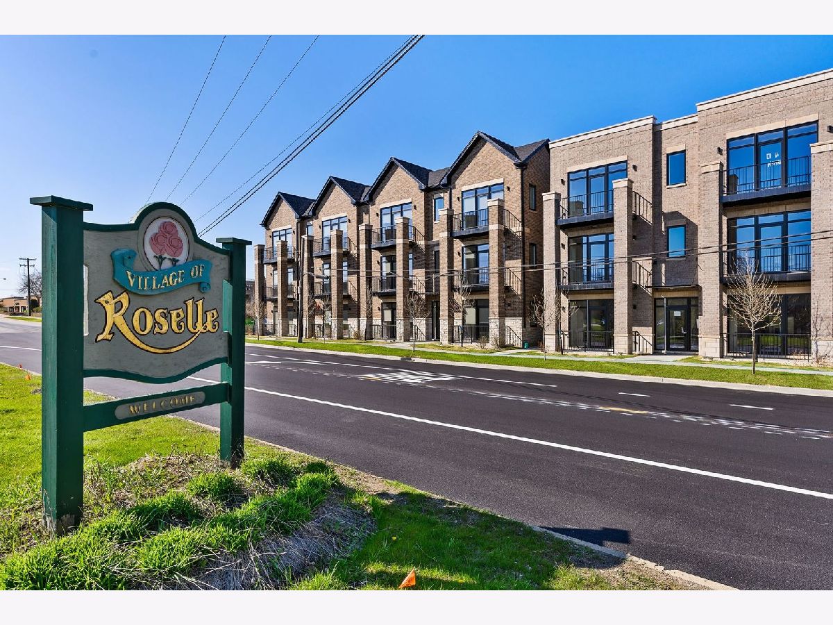  For Rent Roselle Illinois, 820 Irving Park