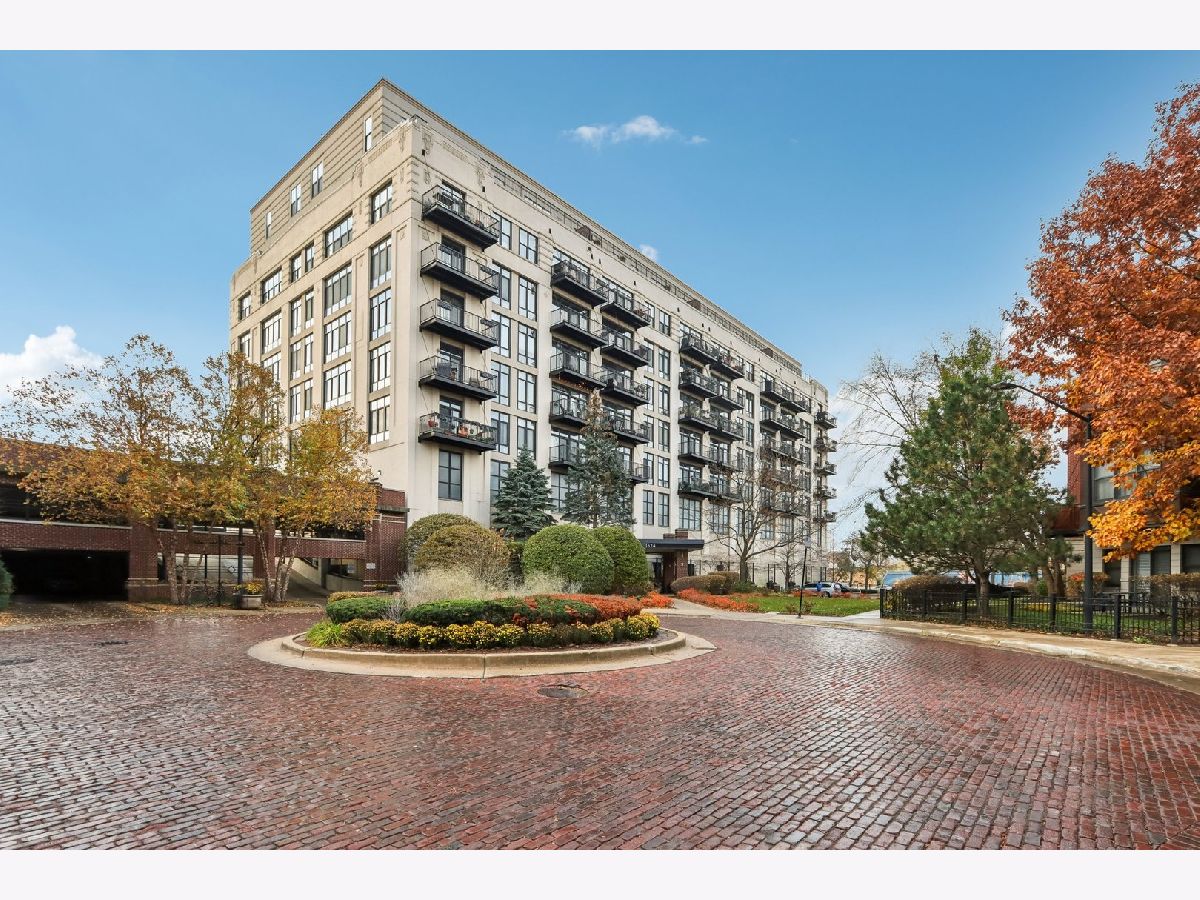 Condos & Townhomes & Homes For Sale University Village Chicago Illinois, 1524 Sangamon Street