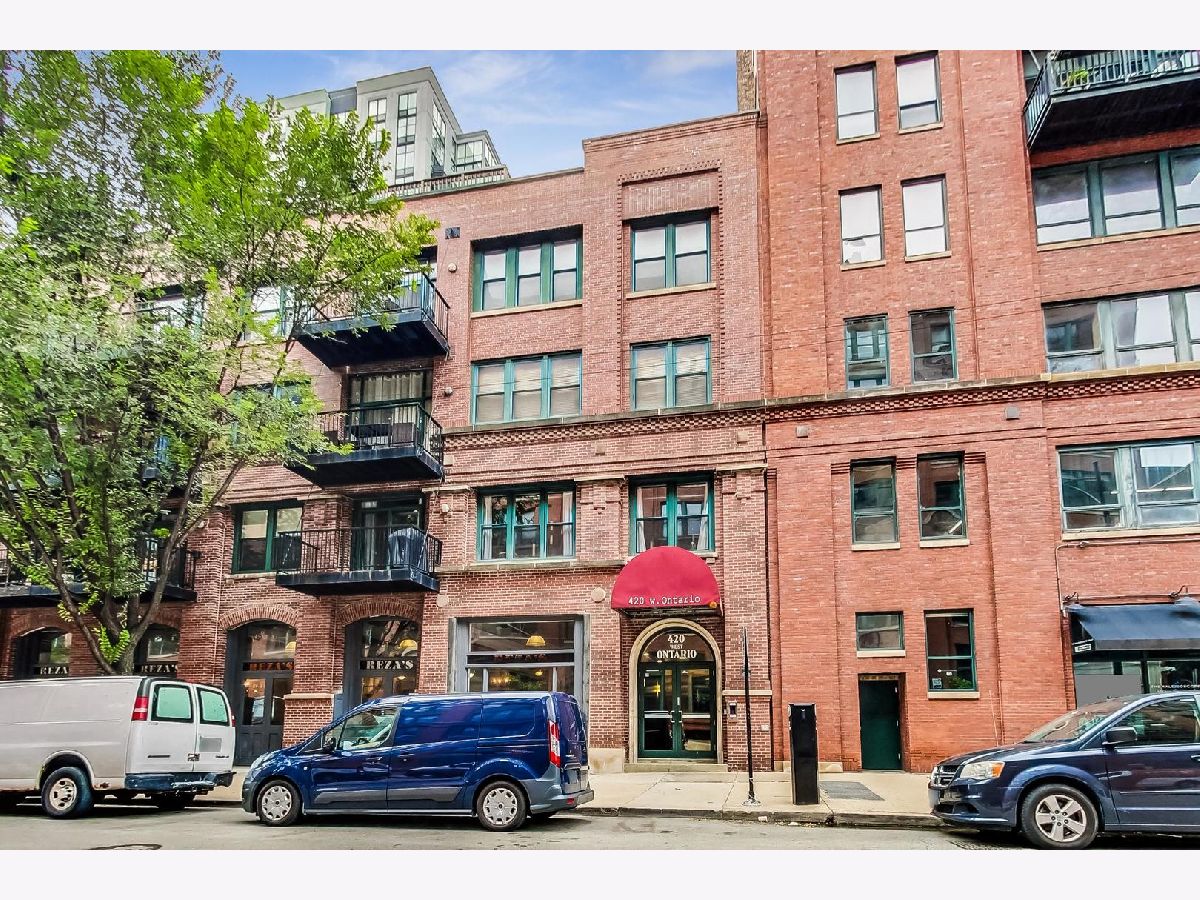 Condominiums For Sale Timber Gallery Lofts Chicago Illinois, 420 Ontario Street