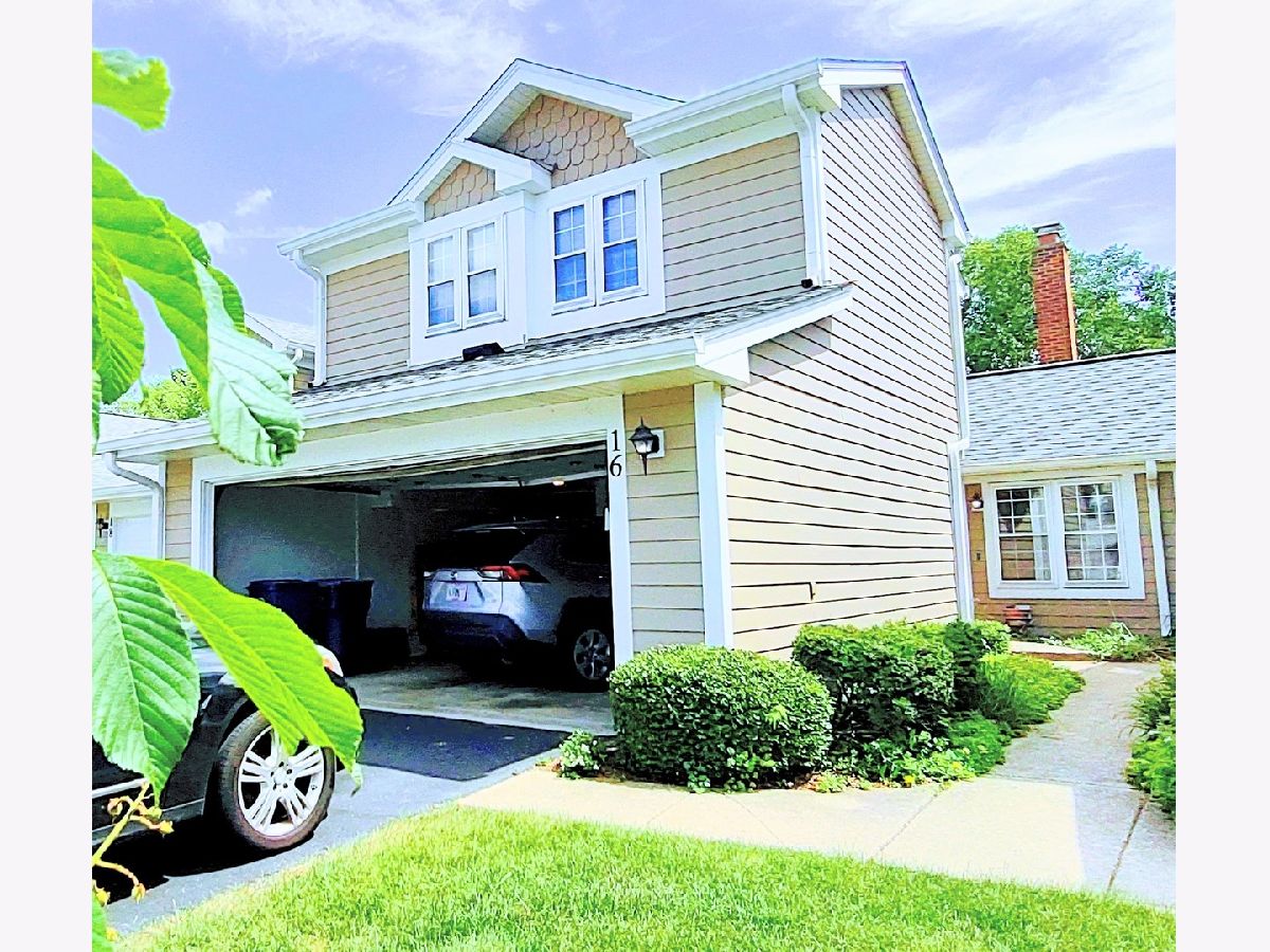  Sold Schaumburg Illinois, 16 White Pine