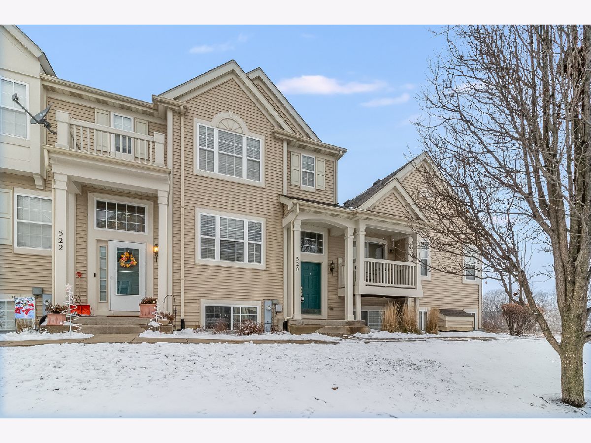  For Rent Oswego Illinois, 520 Lincoln Station