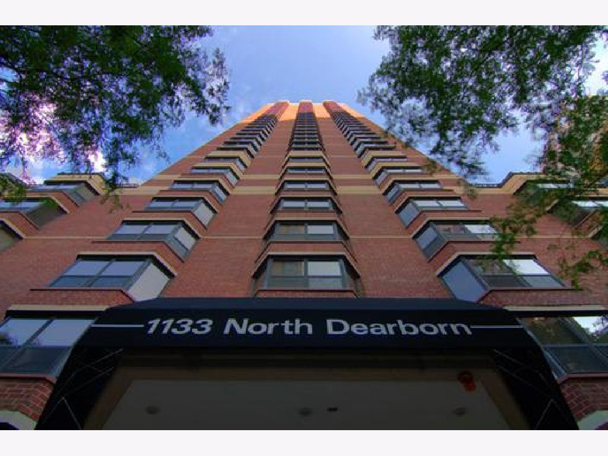  For Rent Chicago Illinois, 1133 Dearborn