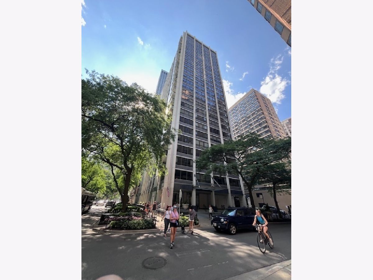 Condominiums For Rent Pearson On The Park Chicago Illinois, 222 Pearson