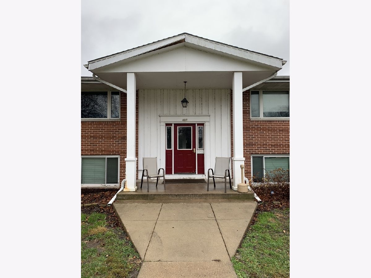  For Rent Dwight Illinois, 407 Seminole