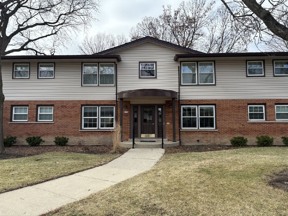  Rented Elk Grove Village Illinois, 223 Washington