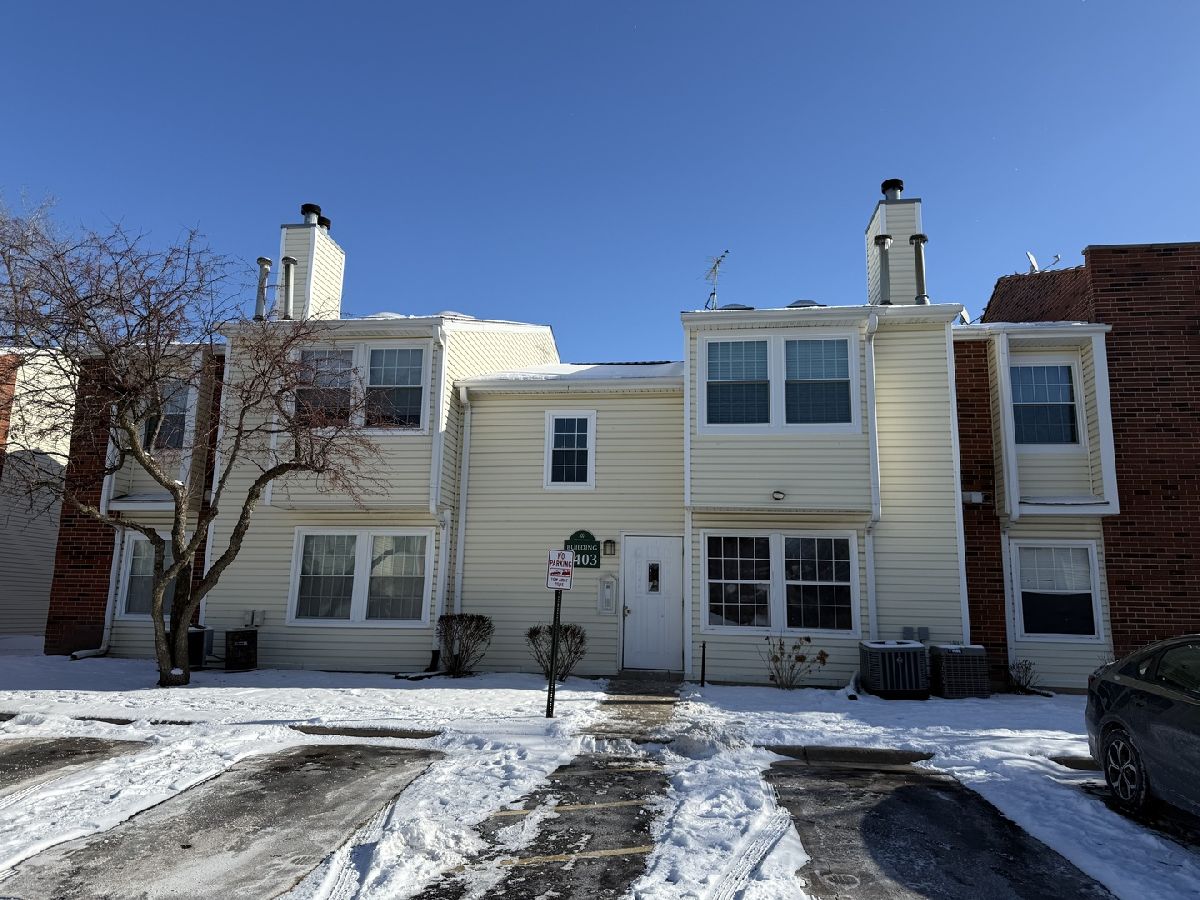 Condos & Townhomes Rented Wyndham Club Palatine Illinois, 1403 Wyndham