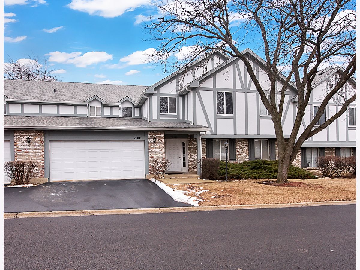 Condos & Townhomes & Homes For Rent Springlake Aurora Illinois, 340 Springlake