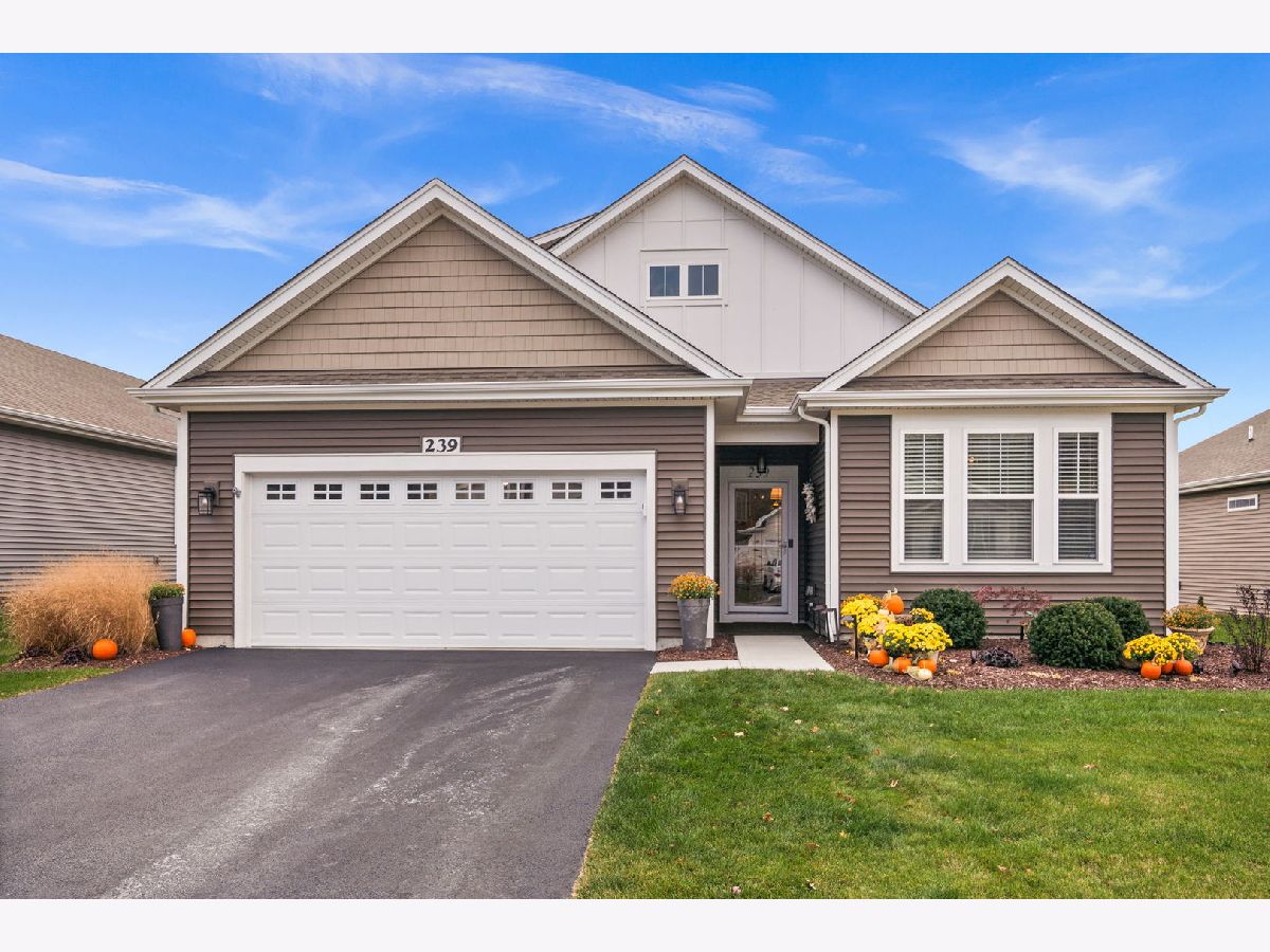 Condos & Townhomes & Homes For Sale Lincoln Valley North Aurora Illinois, 239 Durham Street