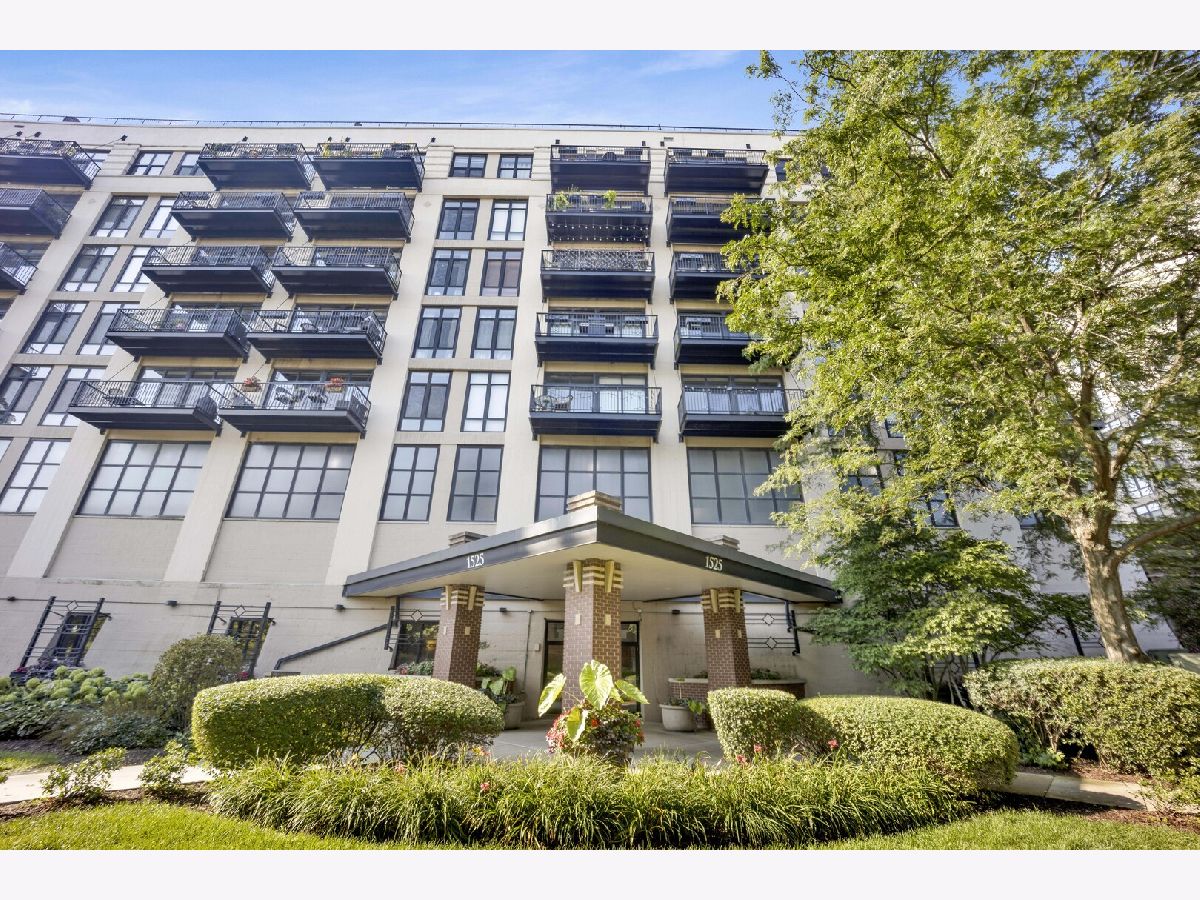 Condos & Townhomes & Homes For Sale University Village Chicago Illinois, 1525 Sangamon Street