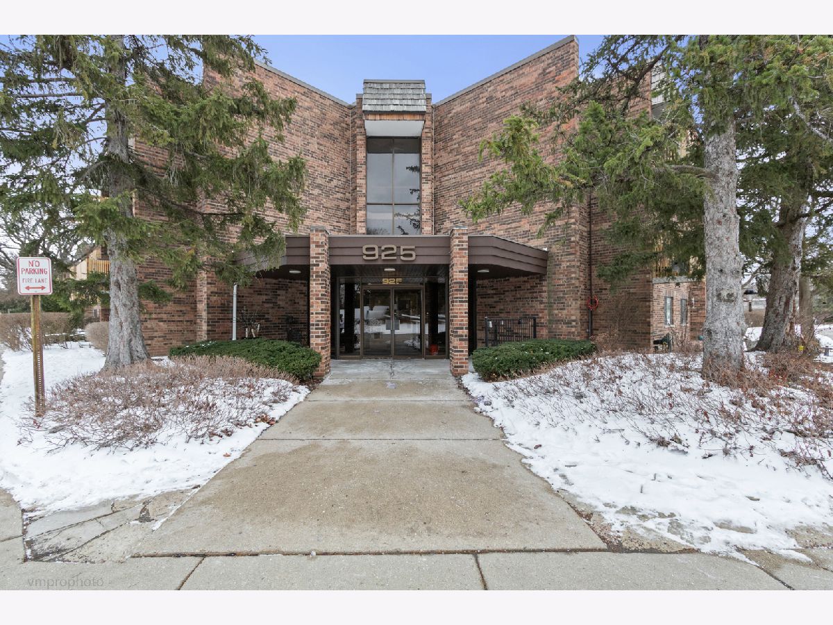 Condos & Townhomes For Sale Pheasant Creek Northbrook Illinois, 925 Spring Hill Drive