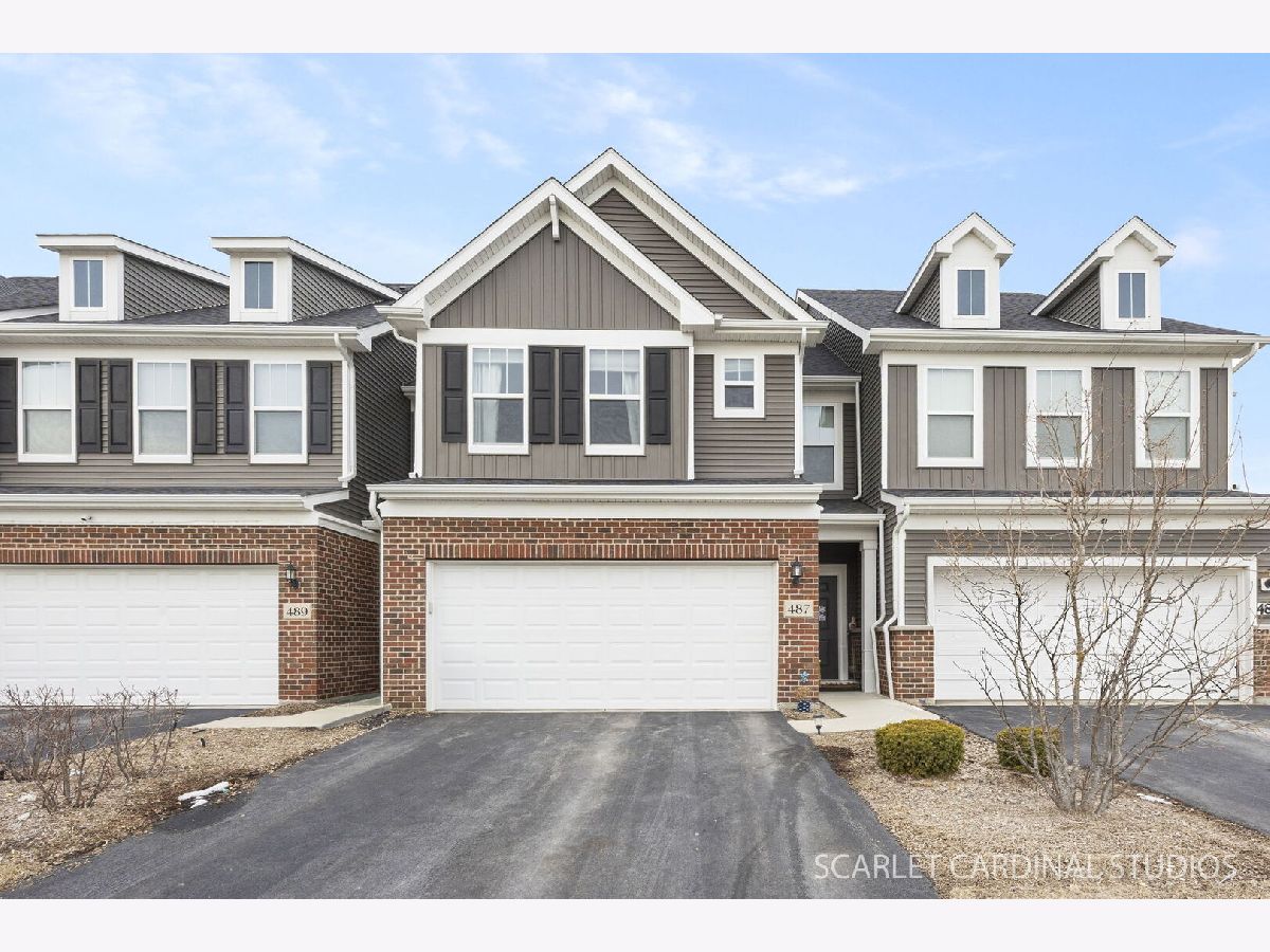 Condos & Townhomes & Homes For Sale Meadow Ridge Aurora Illinois, 487 Watercress Drive