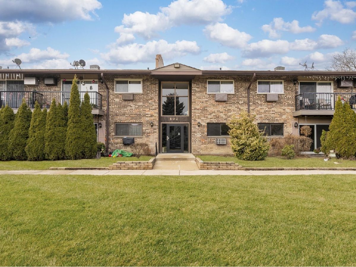 Condominiums For Sale Willow Heights Prospect Heights Illinois, 802 Old Willow Road