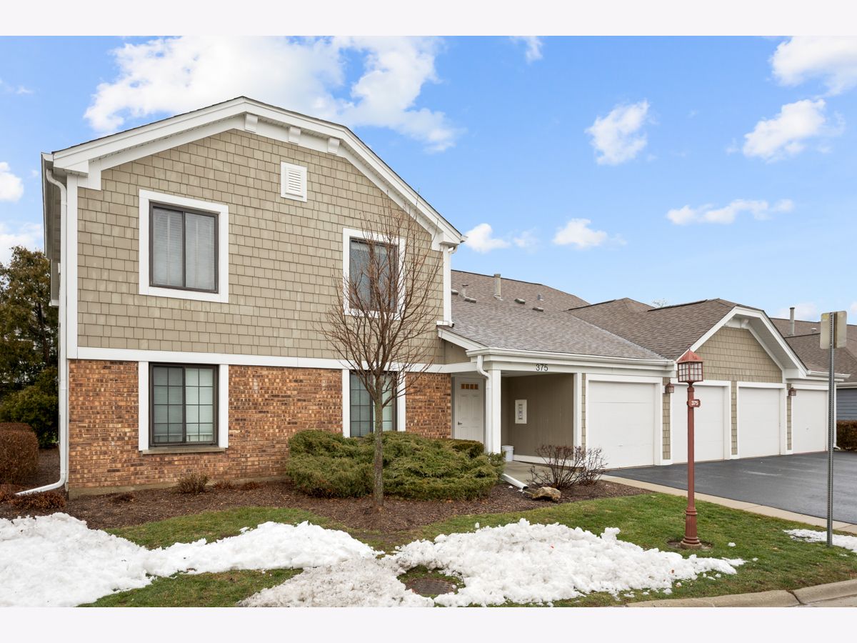 Condos & Townhomes For Sale Lexington Green Schaumburg Illinois, 375 Pinetree Lane