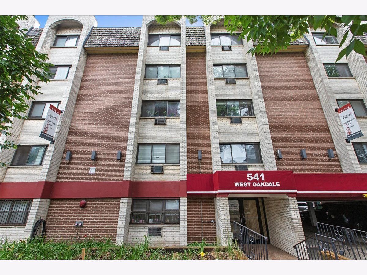  Rented Chicago Illinois, 541 Oakdale