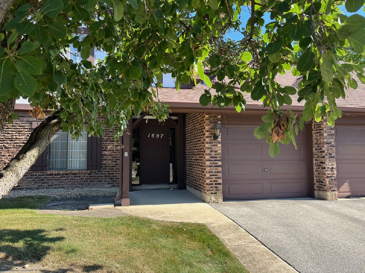  For Rent Wheaton Illinois, 1607 Thames