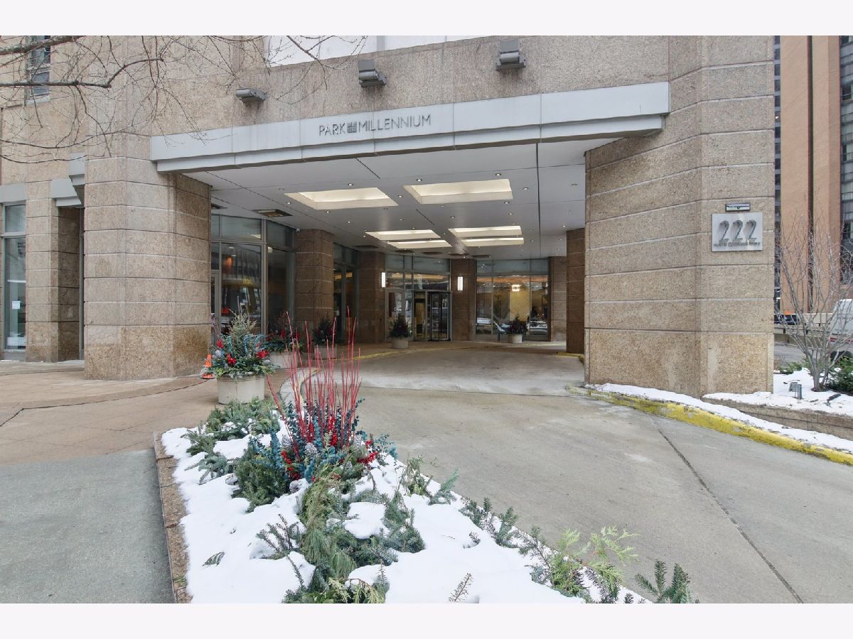 Condominiums For Sale Park Millennium Chicago Illinois, 222 Columbus Drive