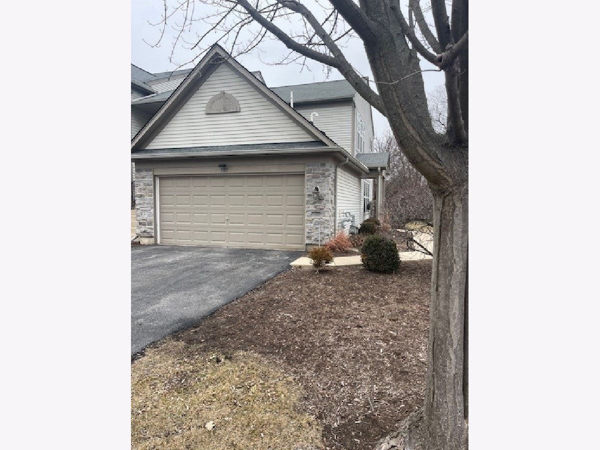 Townhomes & Condos For Sale Madison Park Aurora Illinois, 503 Metropolitan Street