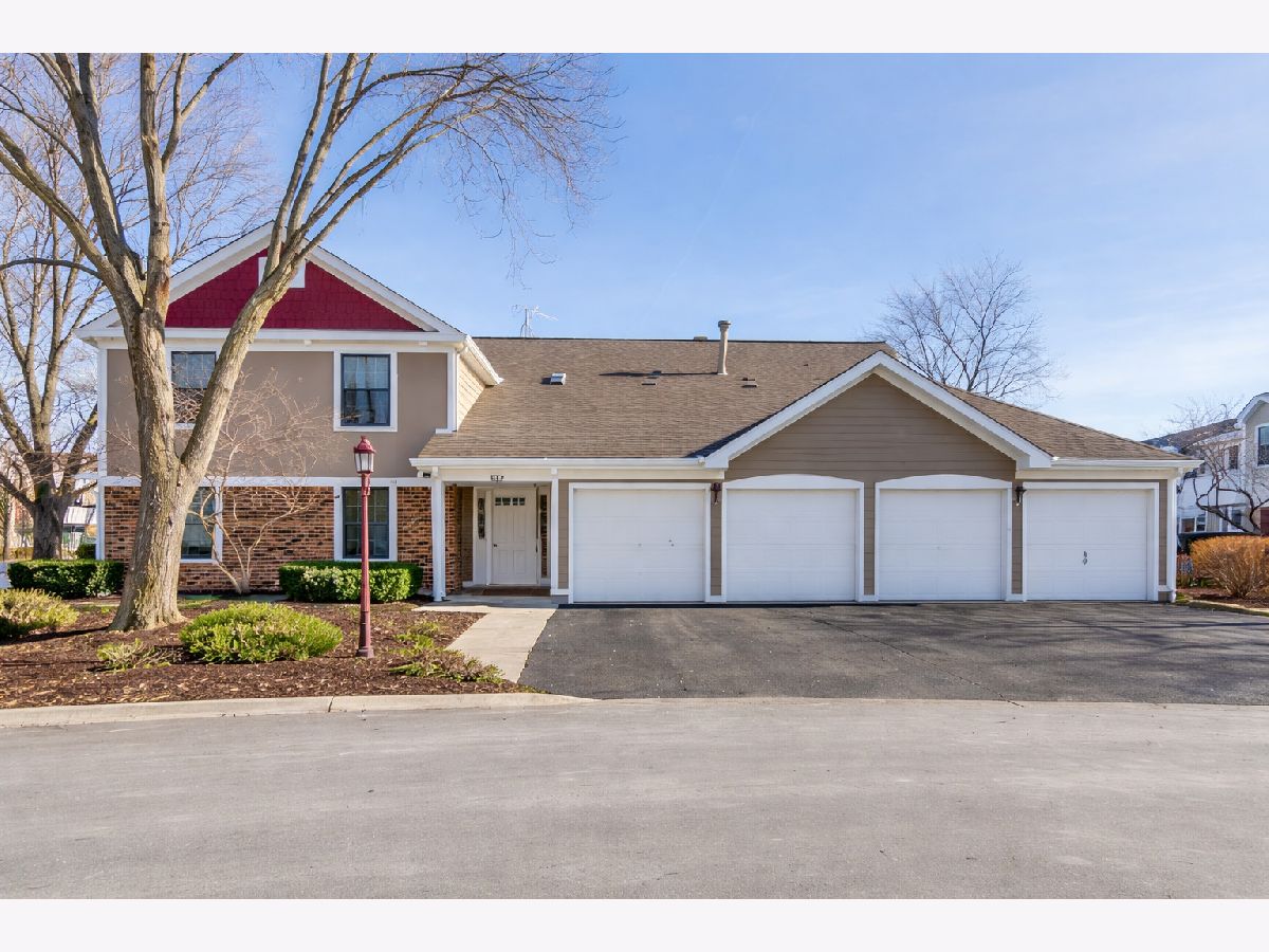 Condos & Townhomes For Rent Lexington Green Schaumburg Illinois, 321 Maplewood