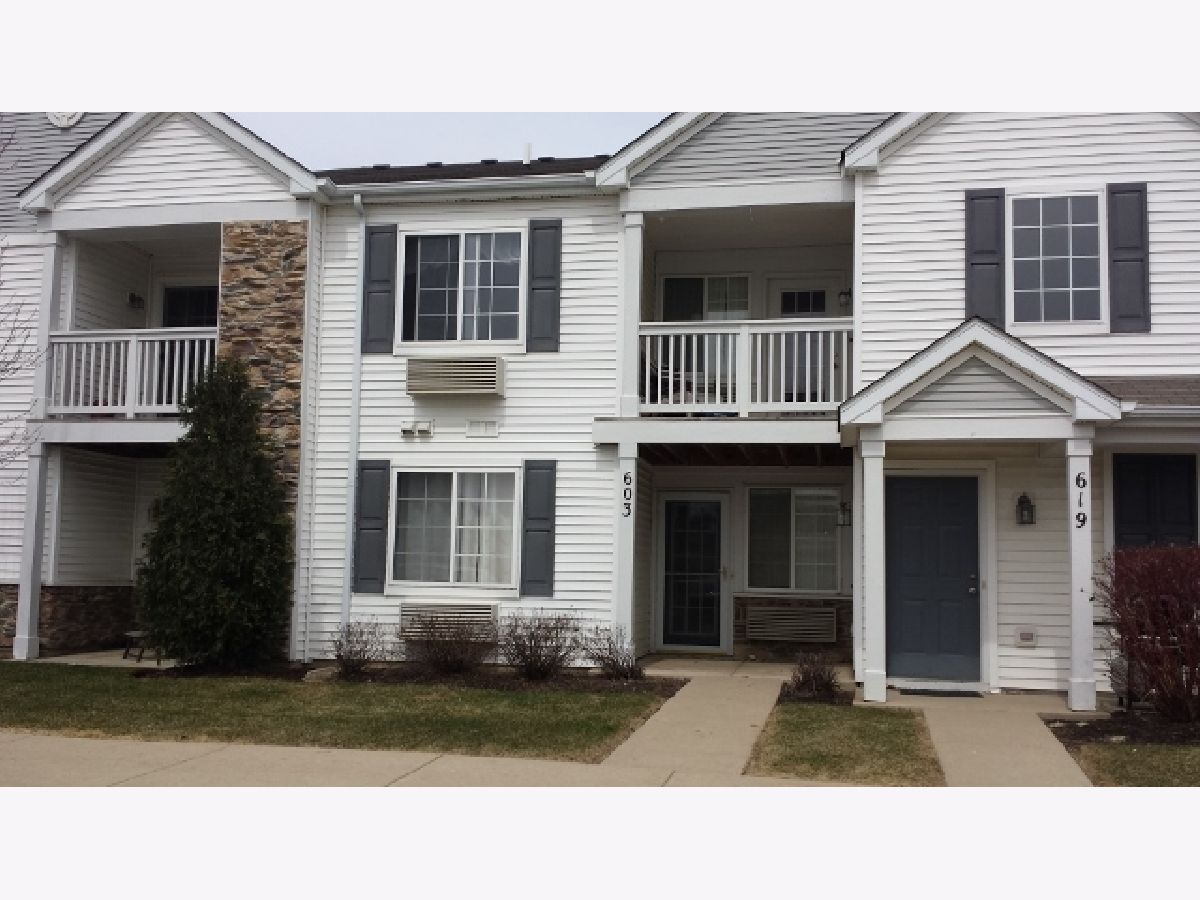  For Rent Carpentersville Illinois, 603 Silverstone
