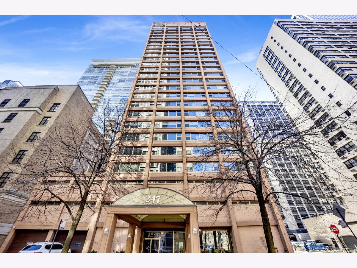  For Rent Chicago Illinois, 247 Chestnut